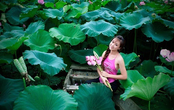Hanoï à la saison des lotus